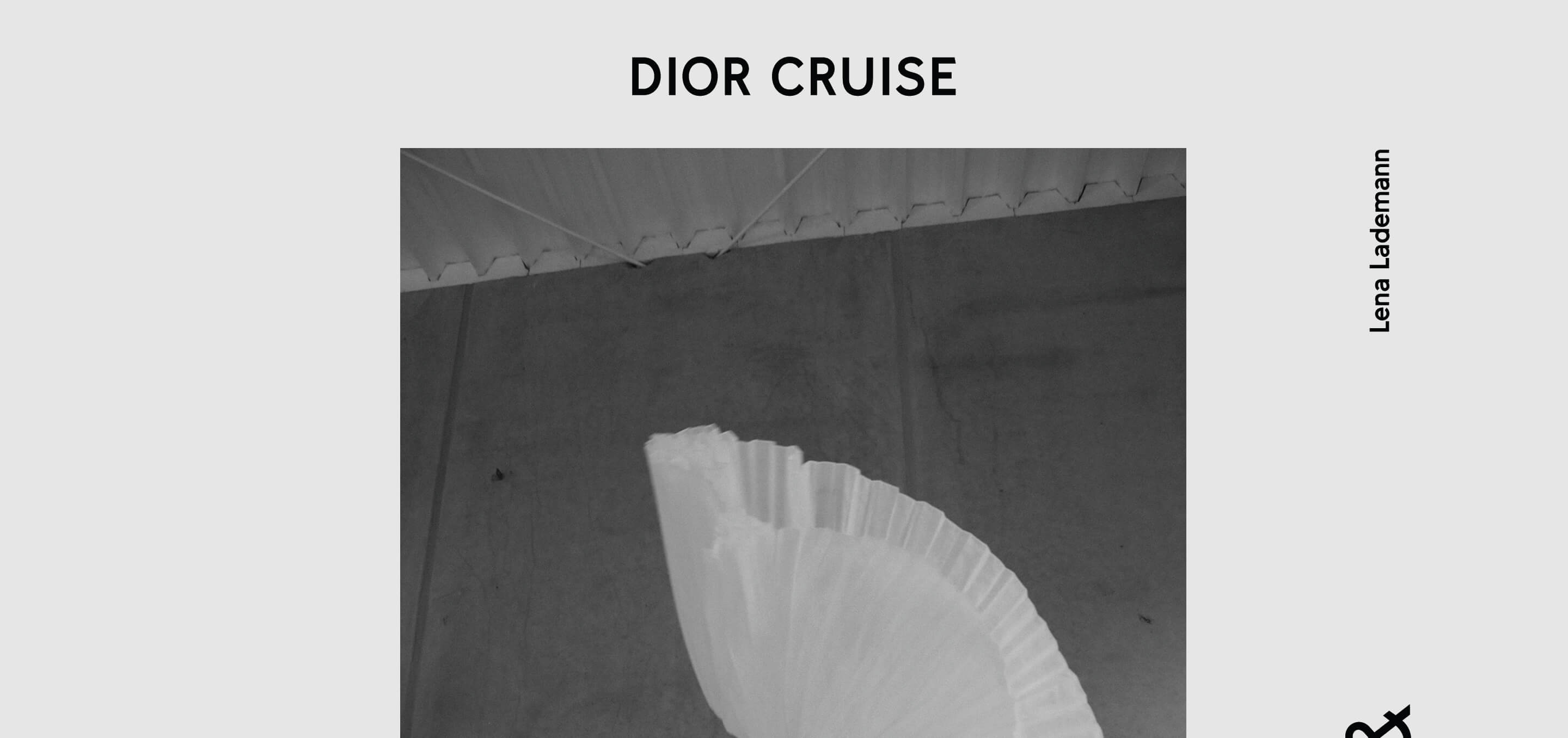 Dior Korsage II